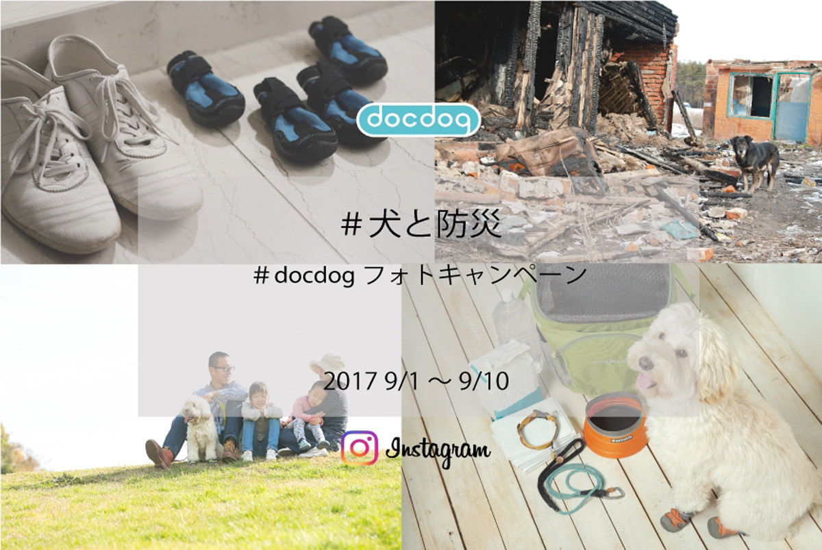 docdog Instagramフォトキャンペーン