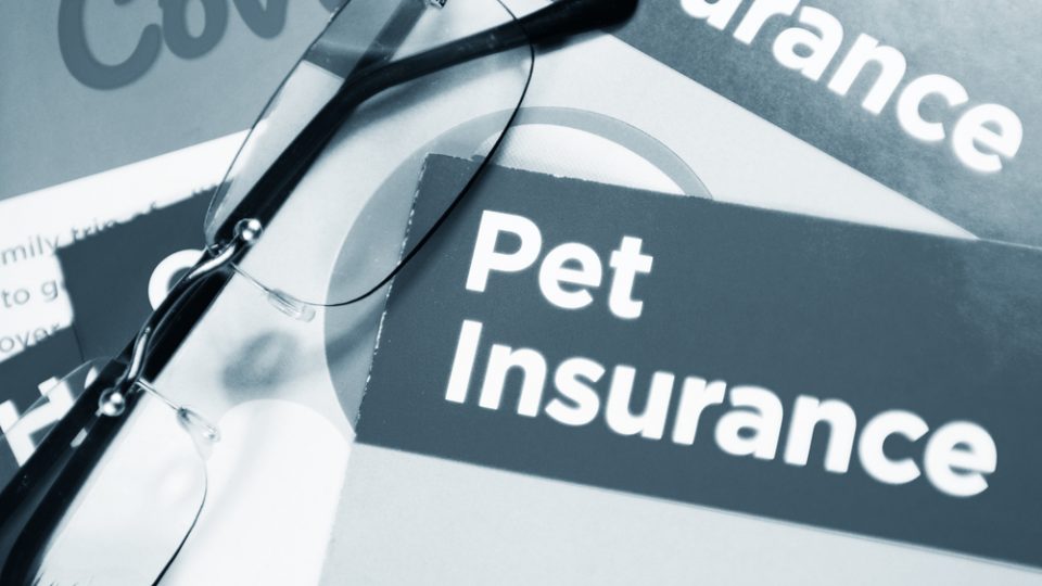 ペット保険を販売している損害保険会社と少額短期保険会社の違いは？