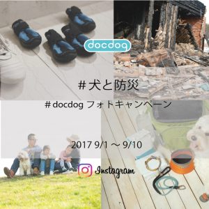docdog Instagramフォトキャンペーン