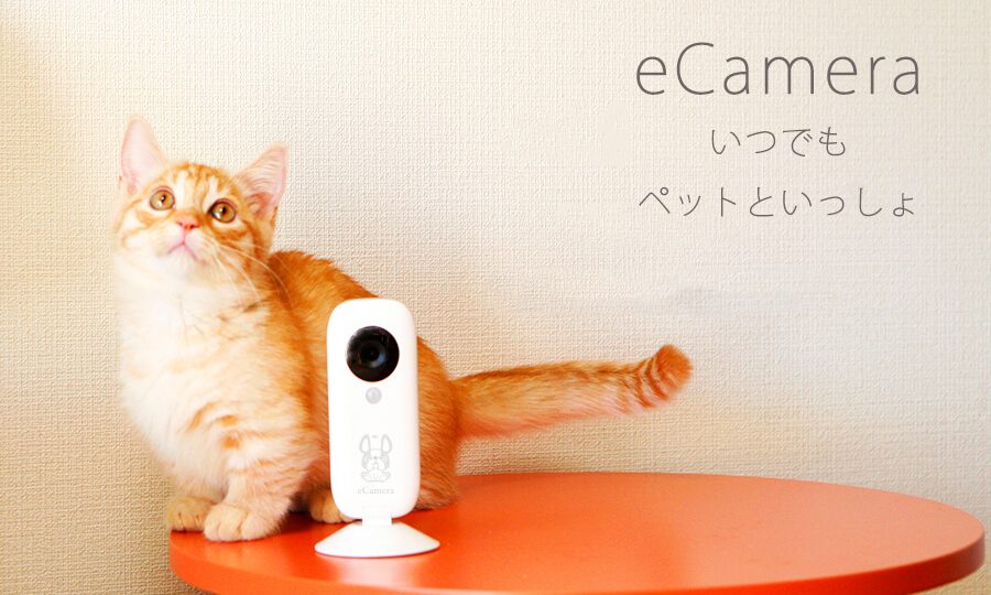 リンクジャパンが「eCamera」を販売。留守番のペットを見守るホームセキュリティIoTカメラ