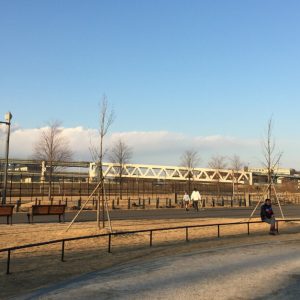 新横浜公園 ドッグラン
