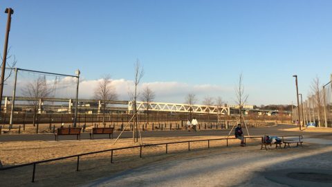 新横浜公園 ドッグラン